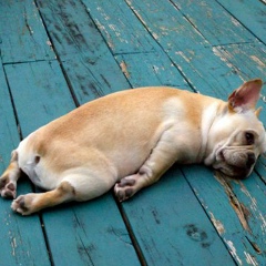 Зося Бакалова, 30.05, Москва