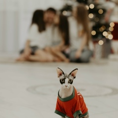 Маргарита Калиниченко, 26.11, Ставрополь