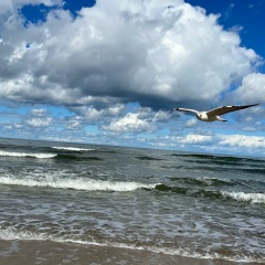 Флюра Булюкова, 11.07, Уфа