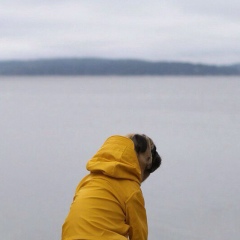 Карина Бережная, 30.05.1993, Москва