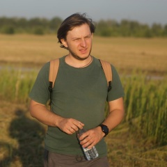 Дмитрий Ивашкевич, Воронеж