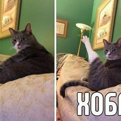 Алексей Алексеев, 28.08