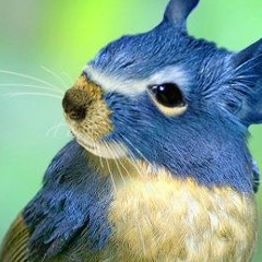 Жанар Кусаинова, Санкт-Петербург