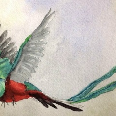 Ахмедхан Гадир, 16.09, Москва