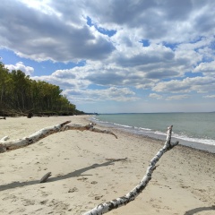 Len Ka, Калининград