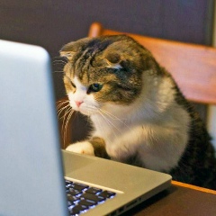 Станислав Радиченко, 23.07