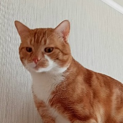 Ольга Шитикова, 20.03.1981, Москва