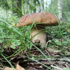 Ольга Рудич, 23.11, Санкт-Петербург