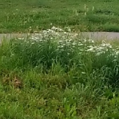 Серёга Acid, 10.09, Москва