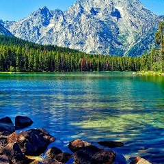 Володимир Ференц, 21.06.1998, Москва