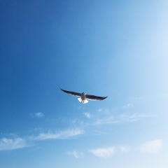 Лилия Заруба, 08.10, Одесса