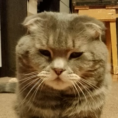 Подградусом Женя, 10.06.1983, Тюмень