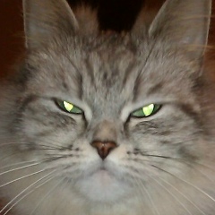 Александра Тангатарова, 14.03, Санкт-Петербург