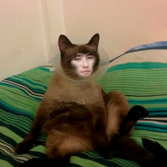 Чингиз Мукашев, 29.11.1988, Алматы