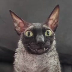 Василий Васильчиков, 25.12, Санкт-Петербург