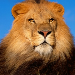 Иван Шилов, 20.08.1984, Вологда