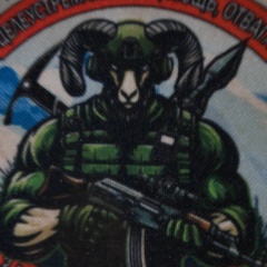 Виталий Белозерцев, Барнаул