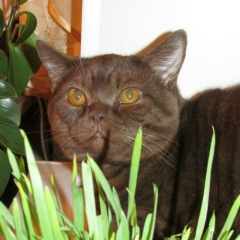 Виталик Чумак, 20.03.1973, Оренбург