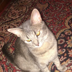 Оксана Филатова, Москва