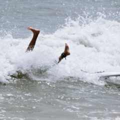 Коля Гусельников, 03.03.1990