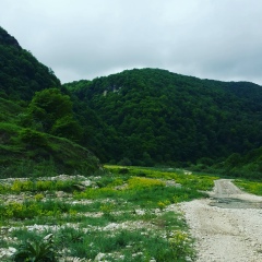 Рустам Алиев, 21.02.1985, Махачкала