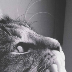 Даниил Ковалёв, 18.11