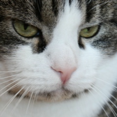 Олег Шмаков, 24.11.1980, Санкт-Петербург