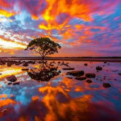 Абуабдуллах Темирсултанов, 31.07, Damascus