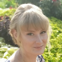 Ирина Стрелка, Ярославль