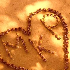 Диана Токпанова, 25.03.1991