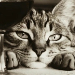 Екатерина Нечволод, 18.03, Курилово (Куриловский с/с)