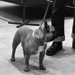 Ваня Bazaroff, 25.11, Санкт-Петербург