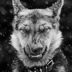 Ни Та, 10.03, Санкт-Петербург