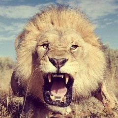 Валид Чергезбиев, 10.01, Гудермес