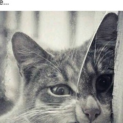 Elena Obraztsova, 30.04.1961