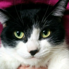 Natali Sm, 18.12, Воронеж