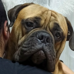 Алёна Хасанова, 26.04, Можга