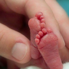 Dilshod Sharapov, 15.02.1987, Самарканд