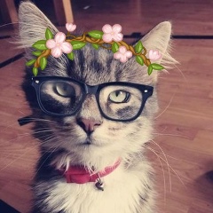 Анастасия Смирнова, 02.04, Санкт-Петербург