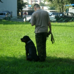 Алексей Игнатьев, Москва
