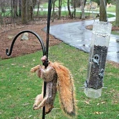 Khant Fellow, 29.02.1992, Mandalay