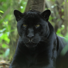 Виталий Кв, 18.03.1981, Подольск