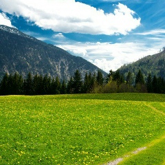 Александр Новиков, 15.04