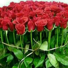 Сагыныш Сабыр, 01.12.1978, Алматы