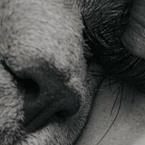 Юлия Нижинкевич, 28.09, Пермь