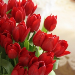 Салтанат Утепбергенова, Казалинск