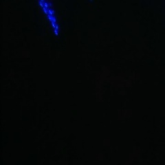 Aleksey Kalinkin, 31.10.1992, Пермь