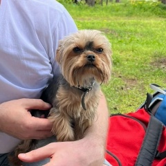 Андрей Рева, 26.12.1984, Белгород