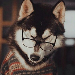 Елена Курносова, 12.02.1989, Санкт-Петербург