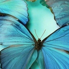 Виктория Кудряшова, 10.02